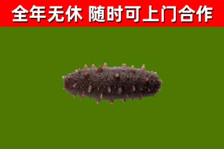 雨湖区烟酒回收干海参.jpg